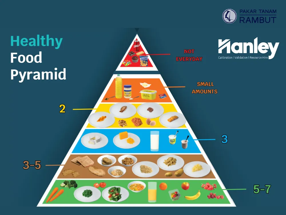 rambut-menipis-foods-pyramid